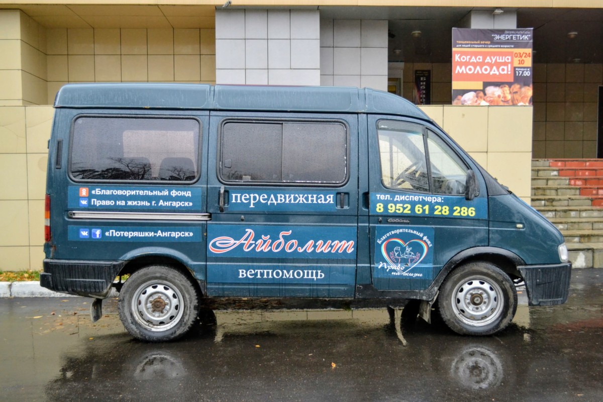 Нужна ваша помощь! Проголосуйте за нас! - БФ Право на жизнь - помощь  бездомным животным г. Ангарск